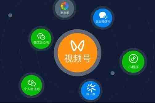 微信视频号推广小程序-微信小程序开通步骤-第4张图片