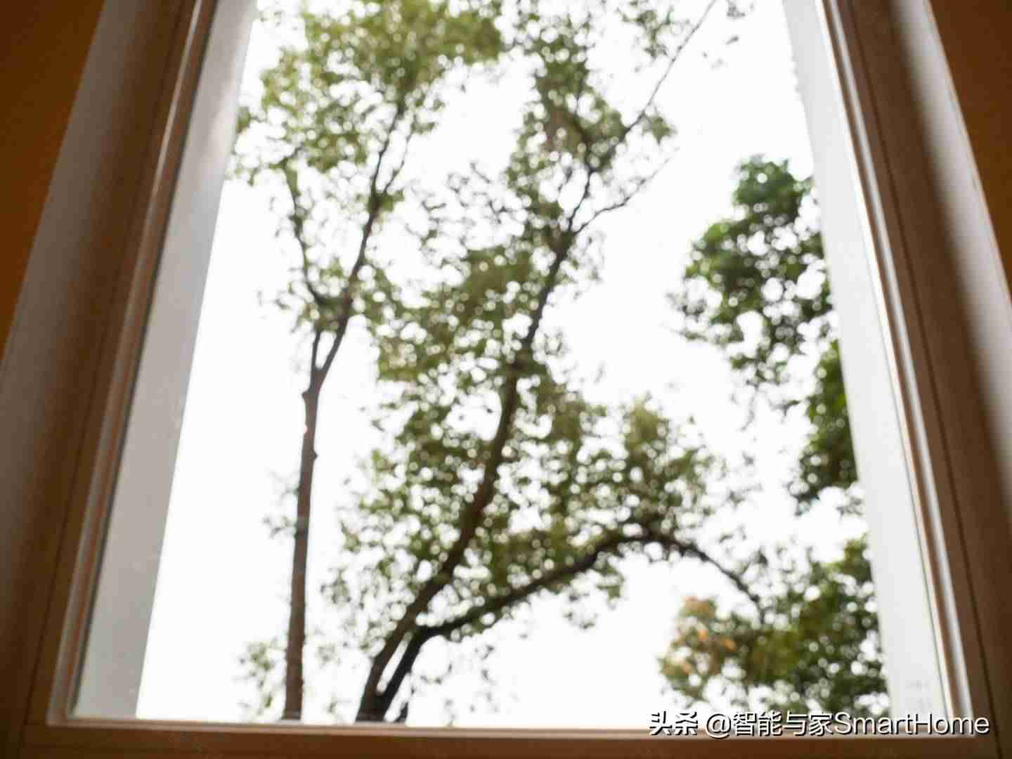 奥林巴斯em10二代参数-奥林巴斯最好的定焦镜头-第36张图片