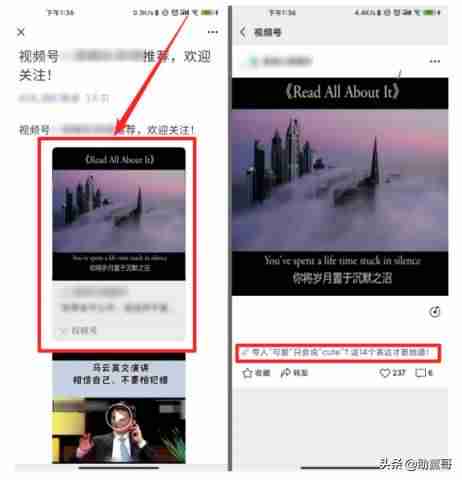 微信视频号怎么赚钱提现（视频号开店推广方法）-第20张图片