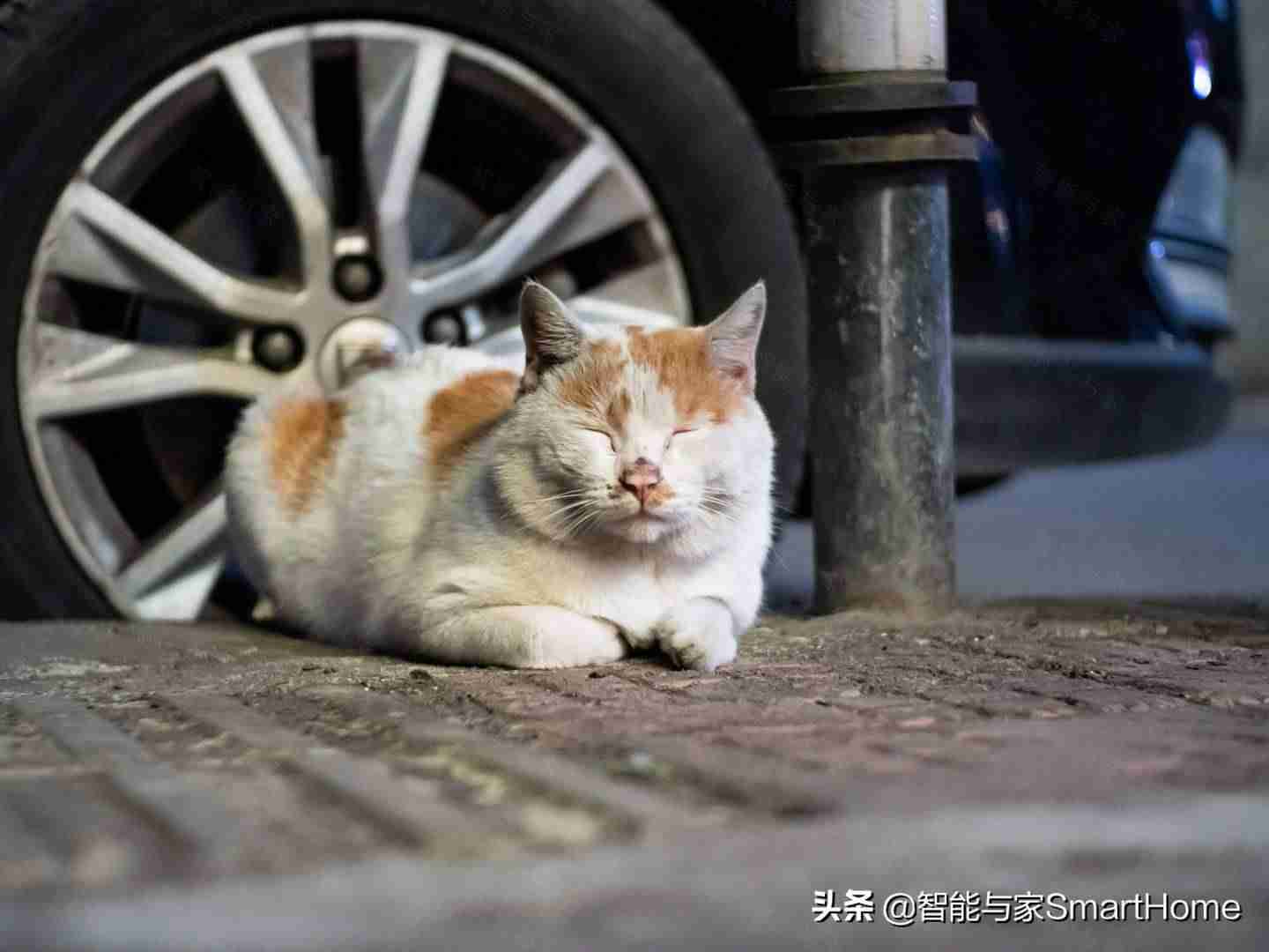 奥林巴斯em10二代参数-奥林巴斯最好的定焦镜头-第32张图片