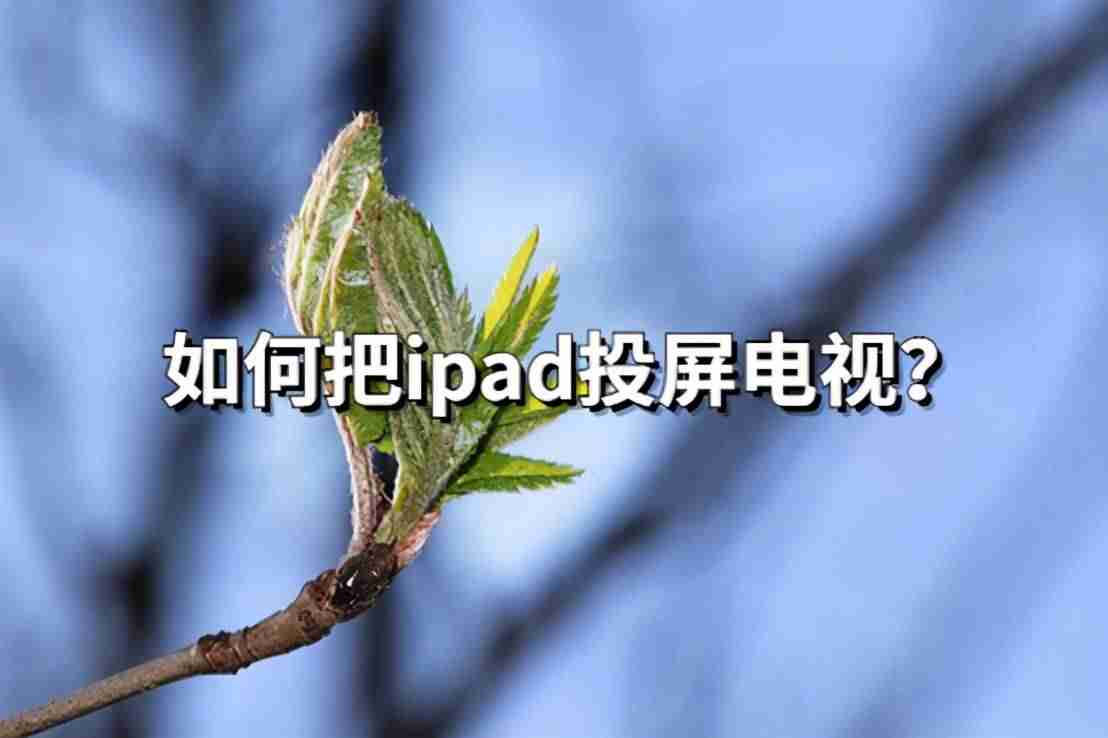 苹果ipad能投屏吗-电视和ipad共享屏幕的方法-第1张图片