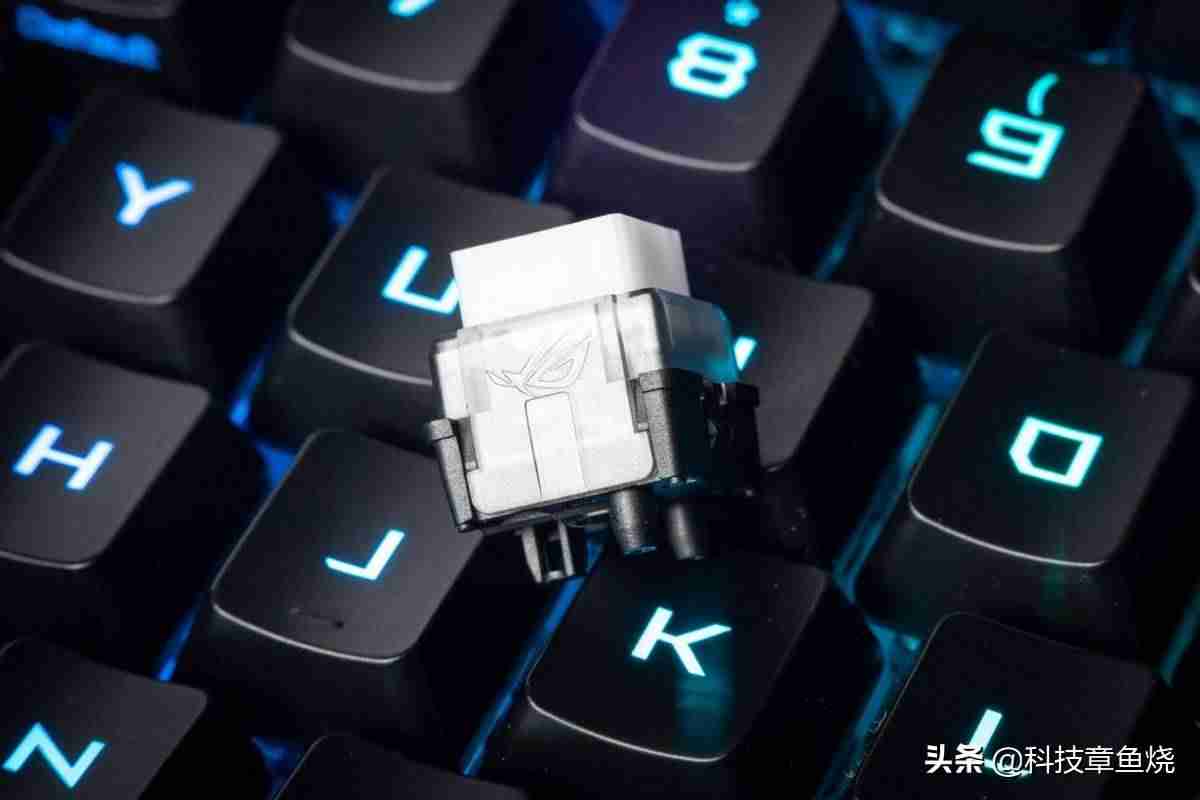 cherry青轴多少钱一个-cherry青轴参数-第5张图片