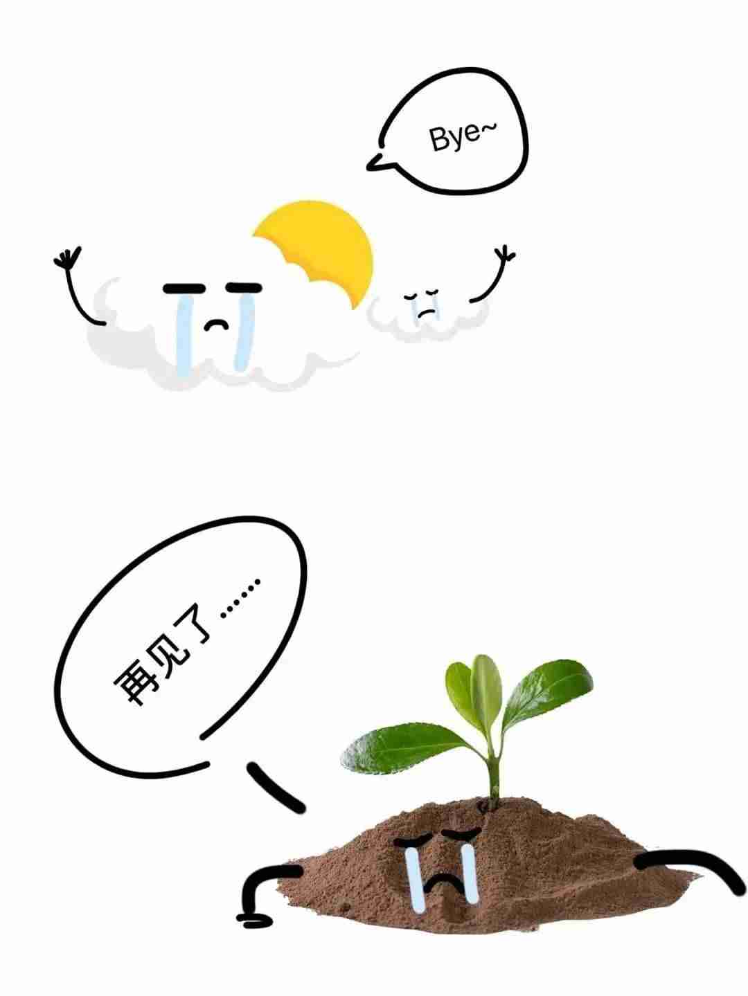 猜成语游戏规则-好玩的猜成语游戏-第10张图片