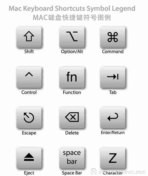 苹果的复制粘贴快捷键是什么-iphone复制粘贴快捷手势
