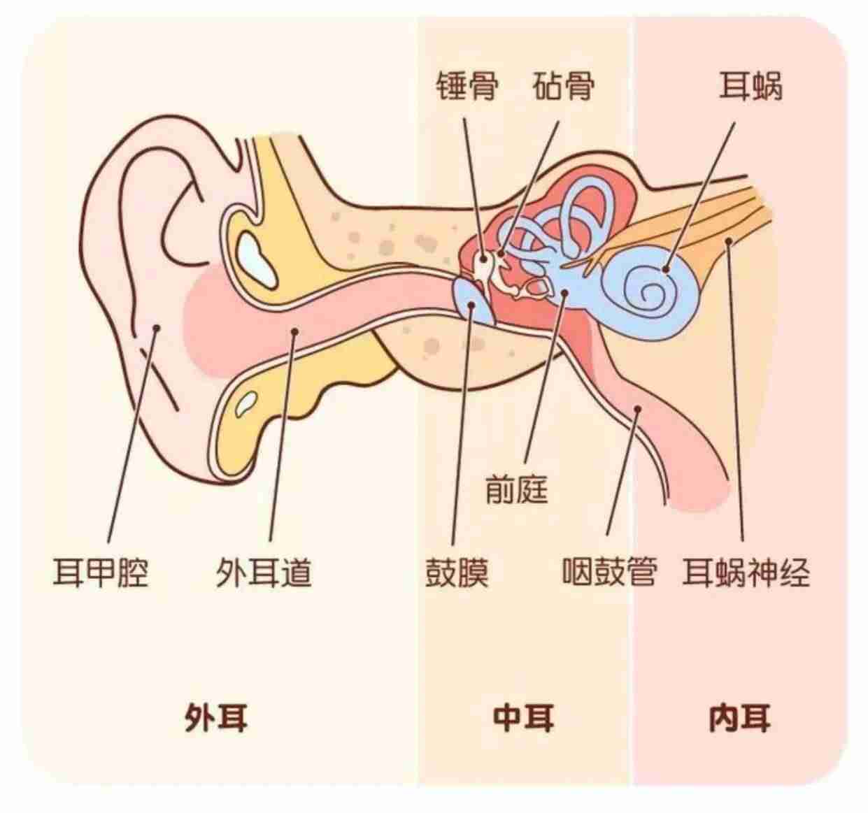 无线耳机突然一个响一个不响怎么办-耳机右边没声音小妙招-第3张图片