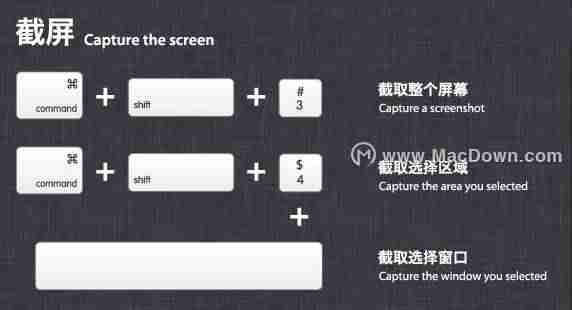 苹果的复制粘贴快捷键是什么-iphone复制粘贴快捷手势-第4张图片