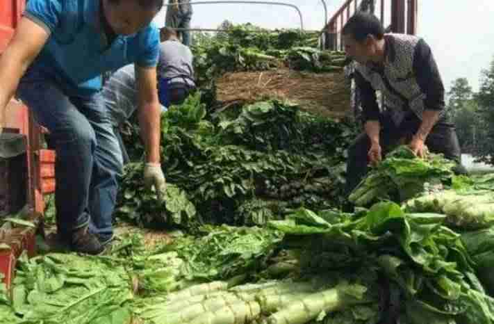 今年做什么生意好赚钱快-致富项目小本生意-第3张图片