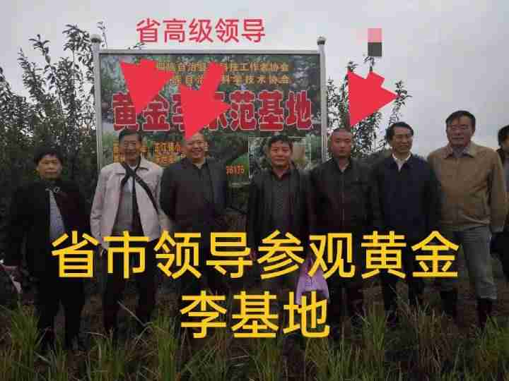 做什么赚钱最快最稳又不用本-投资小利润高的小生意-第13张图片