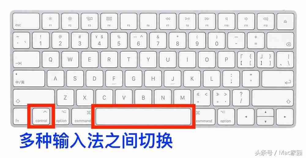 苹果怎么换输入法皮肤-初次使用苹果手机教程-第7张图片