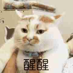 快速赚钱最好办法-手机挣钱软件排行榜-第2张图片