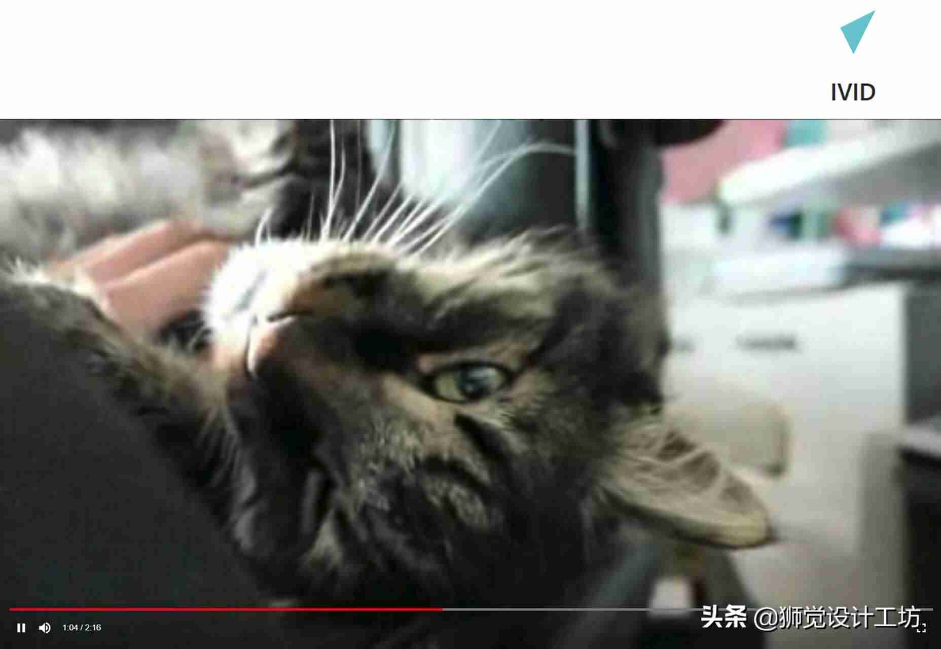 房子矢量图素材-ps图片转矢量图教程-第3张图片
