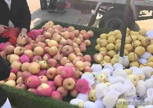 批发什么最赚钱本钱小-集市上能卖的小商品-第7张图片