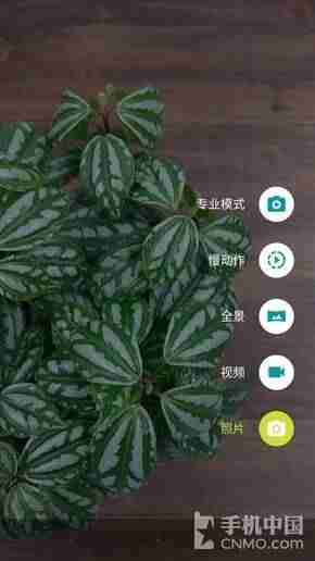 moto z play拆机教程-摩托罗拉手机xt1650主要参数-第20张图片 moto z play拆机教程-摩托罗拉手机xt1650主要参数-第20张图片
