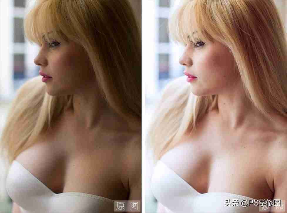 portraiture安装教程-ps入门教程自学图解-第1张图片