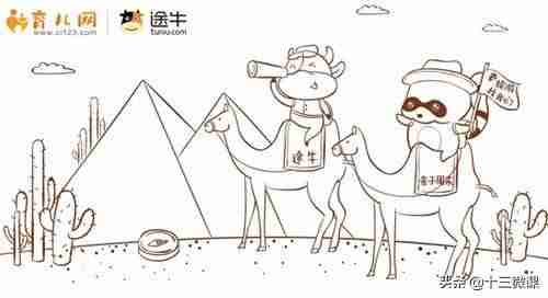 自媒体有哪些领域-自媒体包含的媒体形式-第13张图片
