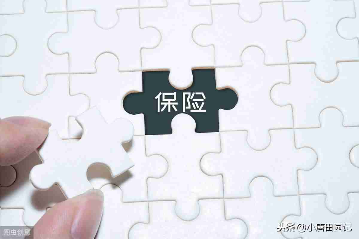 2021最新赚钱项目有哪些-创业好项目投资小利润大-第5张图片