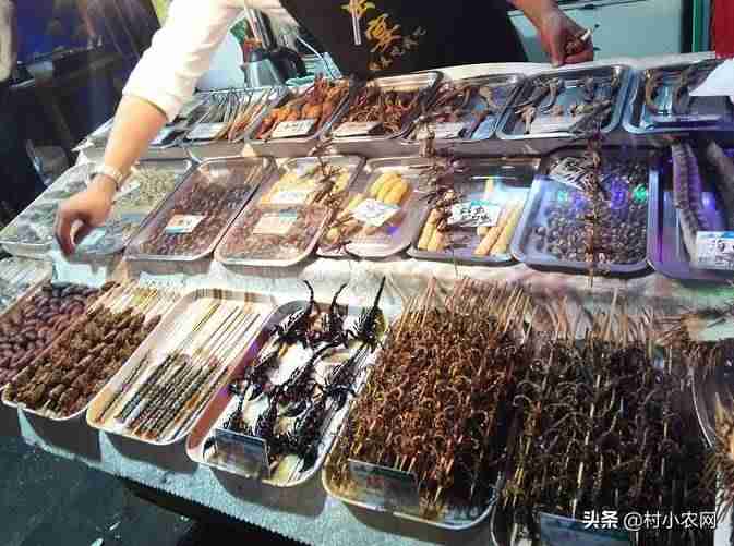 在家养殖赚钱方法-居家养殖的项目比较好-第10张图片
