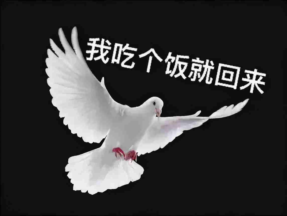 飞鸽传信怎么做到的-讲解飞鸽传书的特点-第4张图片