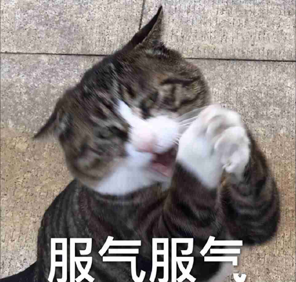看电视的app有哪些-看电视免费的软件推荐-第5张图片