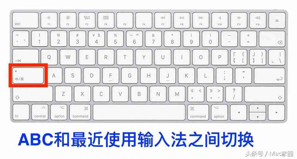 苹果怎么换输入法皮肤-初次使用苹果手机教程-第6张图片