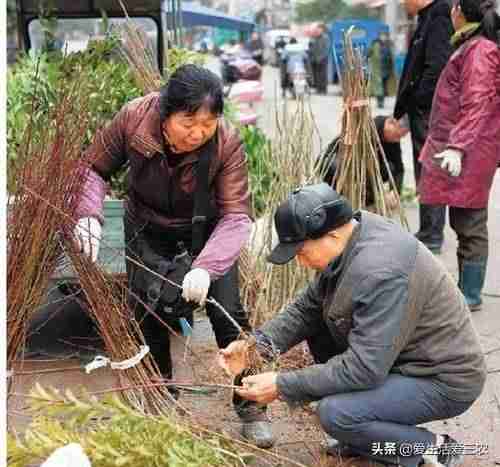 批发什么最赚钱本钱小-集市上能卖的小商品-第6张图片