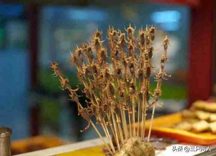 怎么养蝎子致富-蝎子养殖最新加温设备-第2张图片 怎么养蝎子致富-蝎子养殖最新加温设备-第2张图片