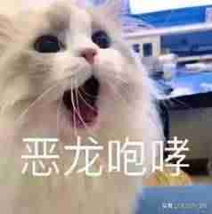 音频文件格式有哪些-8种常用的音频格式-第13张图片