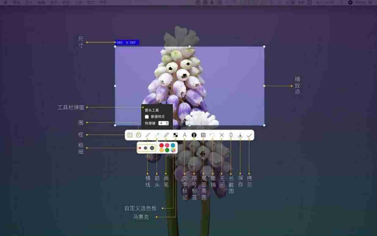 macos彻底删除软件-苹果mac删除软件的窍门-第8张图片