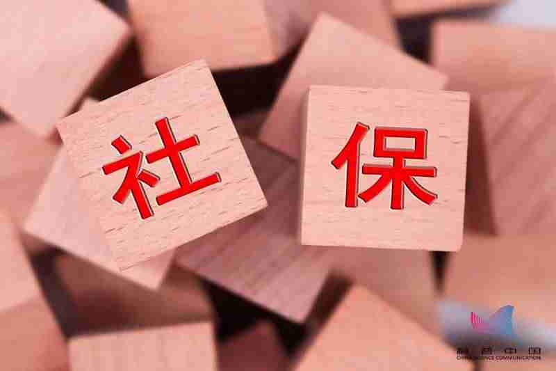 上海交通卡查询余额怎么查-手机查询公交卡余额-第8张图片 上海交通卡查询余额怎么查-手机查询公交卡余额-第8张图片
