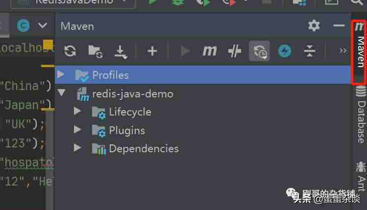 java redis缓存用法-java执行redis命令-第4张图片