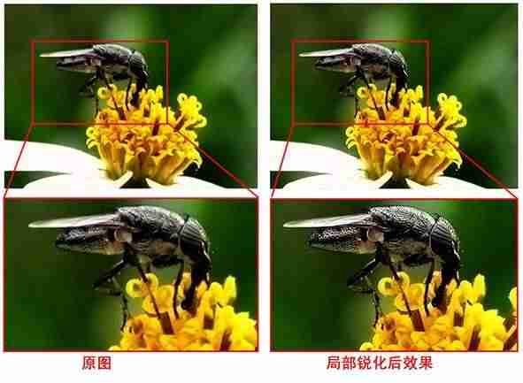 photoshopcs2注册机在哪里-photoshopcs2抠图教程-第16张图片