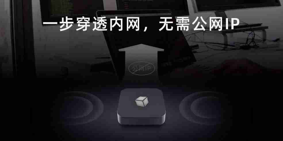 免费公网ip申请-免费手机ip转换器方法-第3张图片