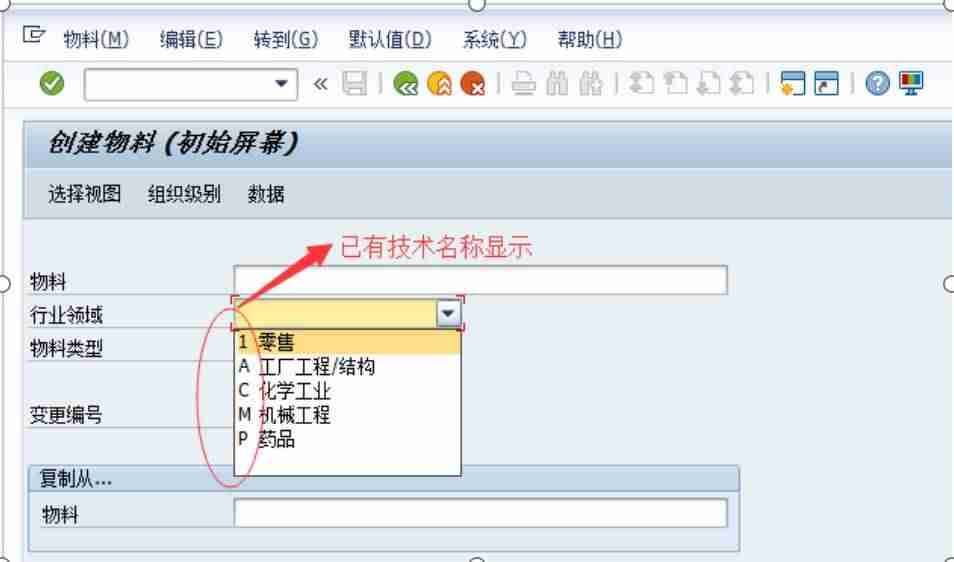 sap中文使用手册模块指南-sap软件使用教程-第4张图片