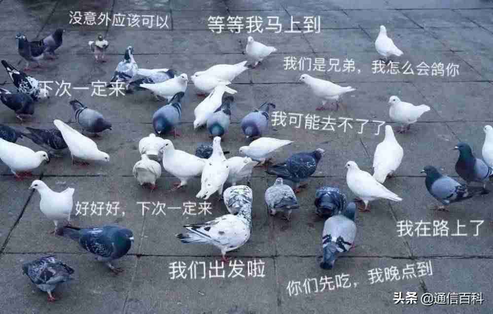 网络结构层次-常见的五种网络拓扑结构-第3张图片