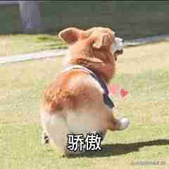 音频文件格式有哪些-8种常用的音频格式-第18张图片