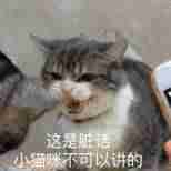 photoshop素材网站有哪些-ps图片制作及详细步骤-第1张图片