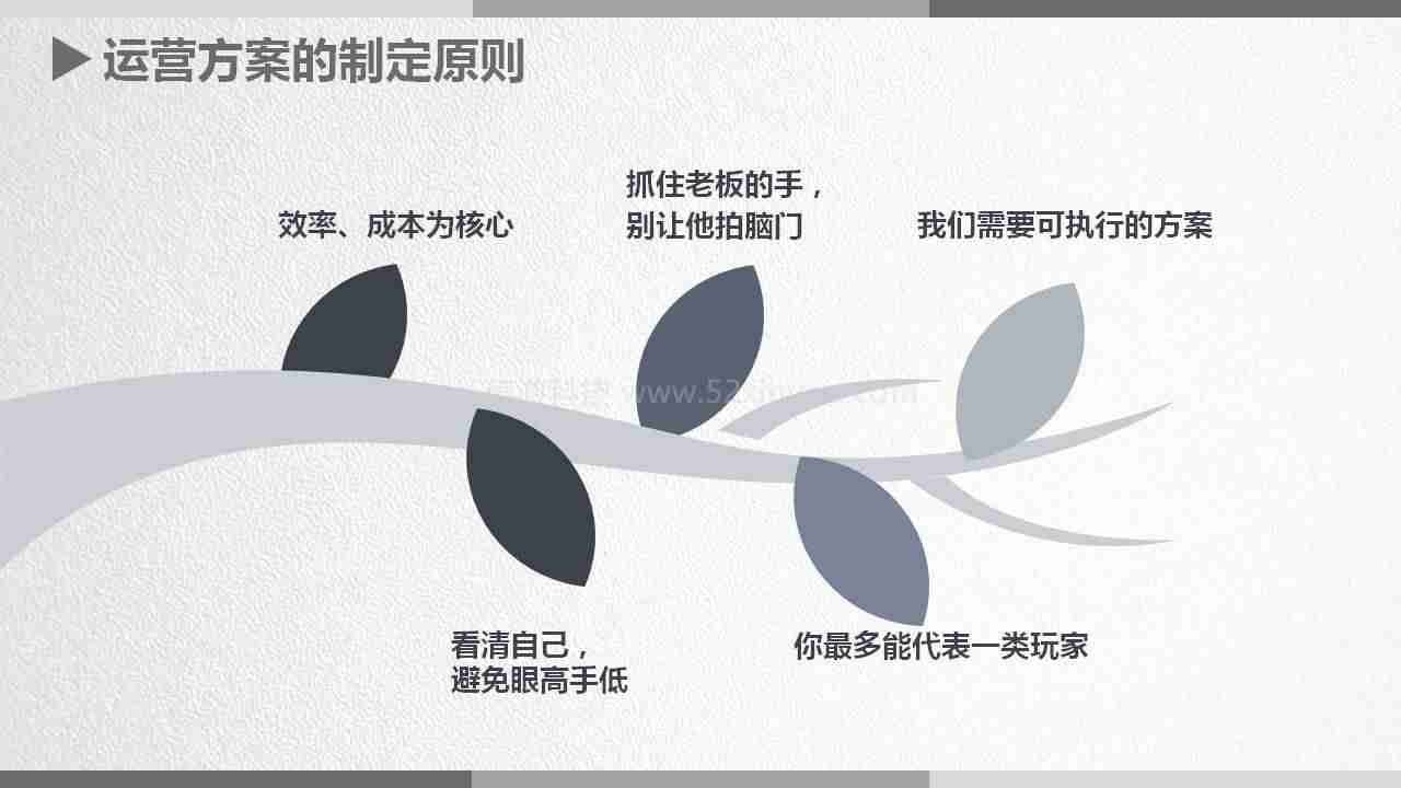 运营策划案怎么写-公司运营方案范文-第1张图片