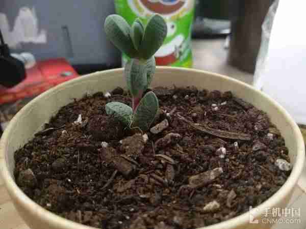 小米max2拆机教程-小米性价比最高的手机-第26张图片