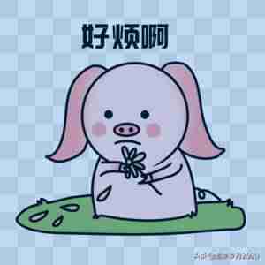 word文档照片显示不全怎么办-word多张图片排版技巧-第1张图片