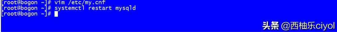 linux复制命令行内容-linux编辑保存退出命令-第5张图片