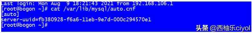 linux复制命令行内容-linux编辑保存退出命令-第13张图片
