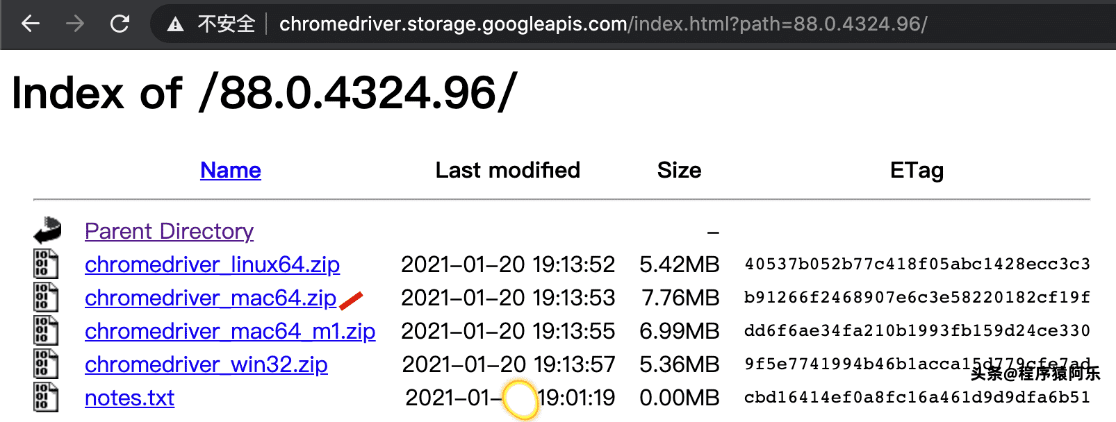 chromedriver对应版本怎么看-chrome打不开任何网页和设置-第4张图片