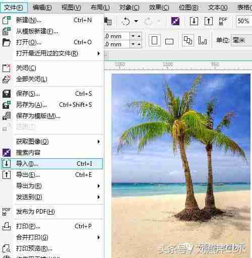 cdr使用技巧大全-cdr的基本功能-第2张图片