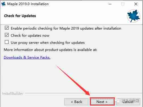 maple使用教程-maple编程语言入门-第11张图片
