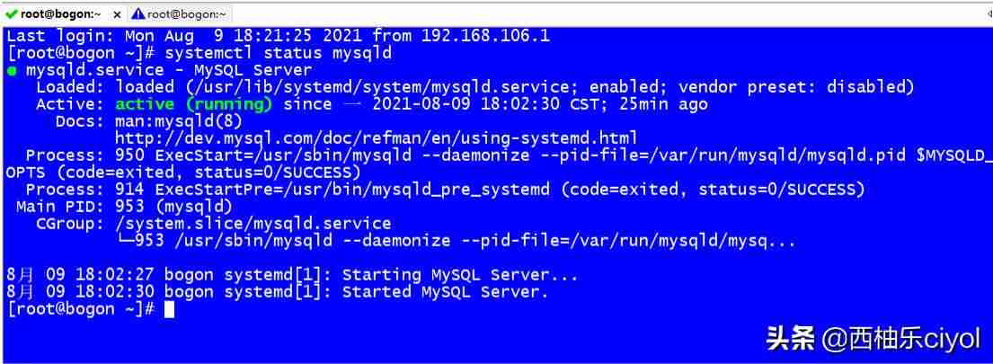 linux复制命令行内容-linux编辑保存退出命令-第2张图片
