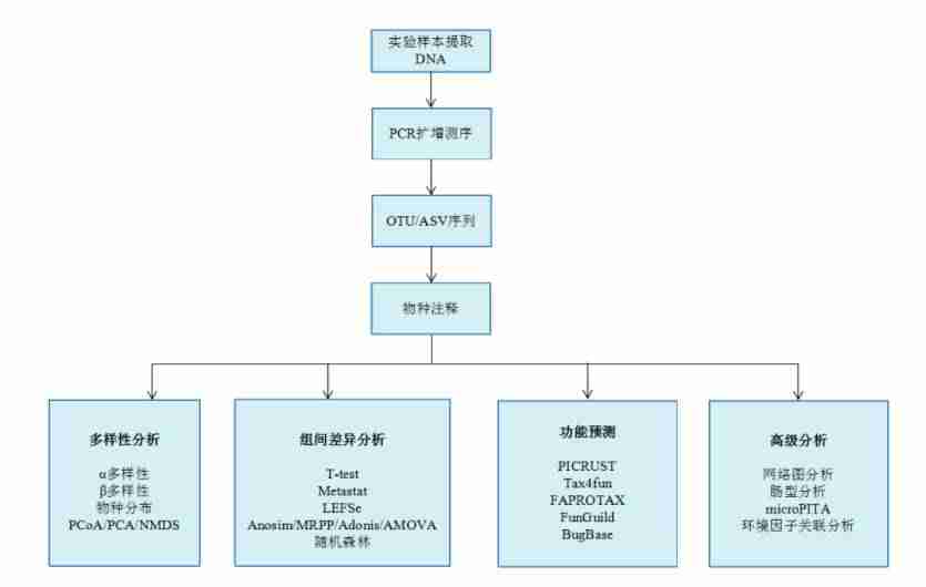 一代测序和二代测序区别比较-宏基因组测序和全基因组测序-第4张图片
