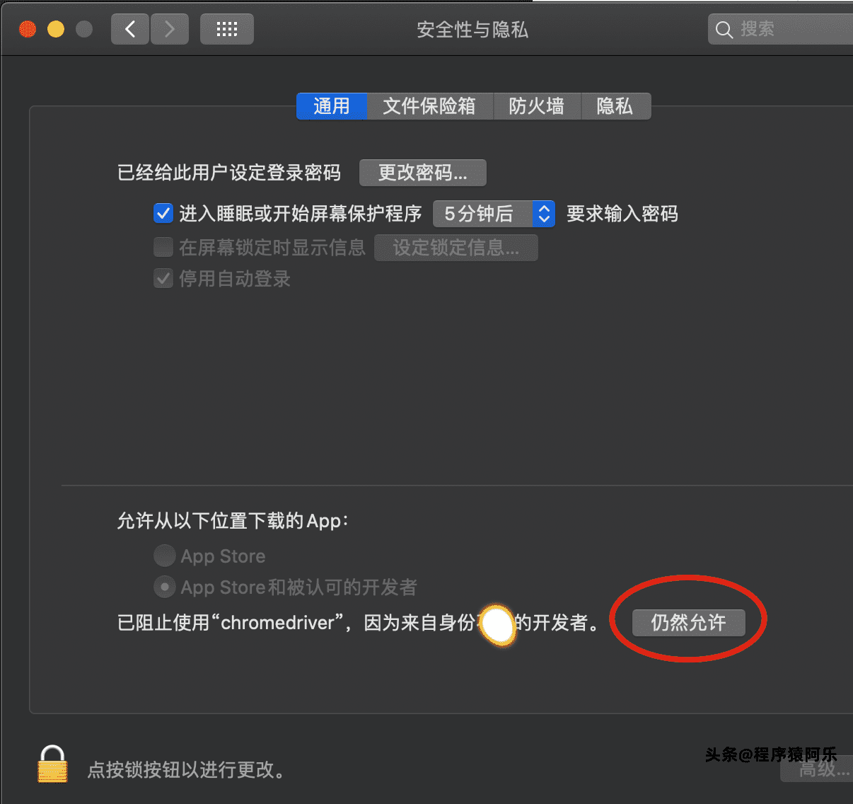 chromedriver对应版本怎么看-chrome打不开任何网页和设置-第7张图片