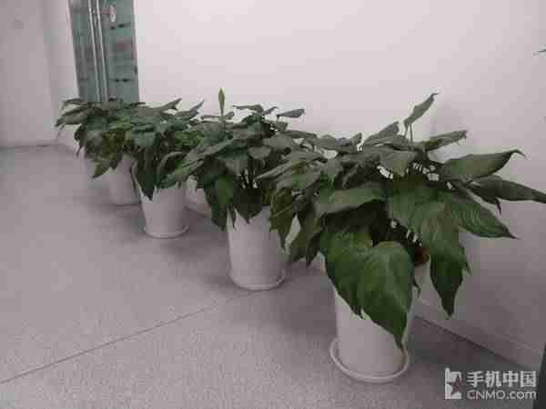 小米max2拆机教程-小米性价比最高的手机-第23张图片