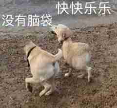 excel怎么转换成word文档-图片转换成excel的技巧-第1张图片