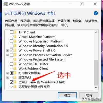 大白菜安装linux安装教程-用u盘重装系统操作步骤-第1张图片